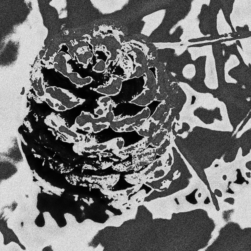 Life is like a pine cone.